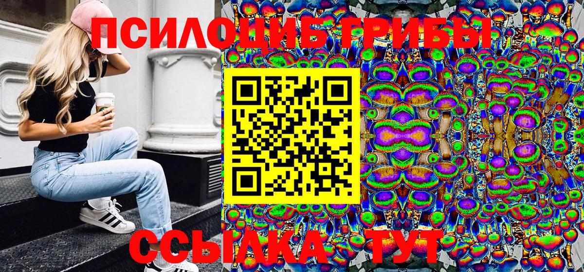 Псилоцибиновые грибы мицелий  Вход с VPN  Чехов 