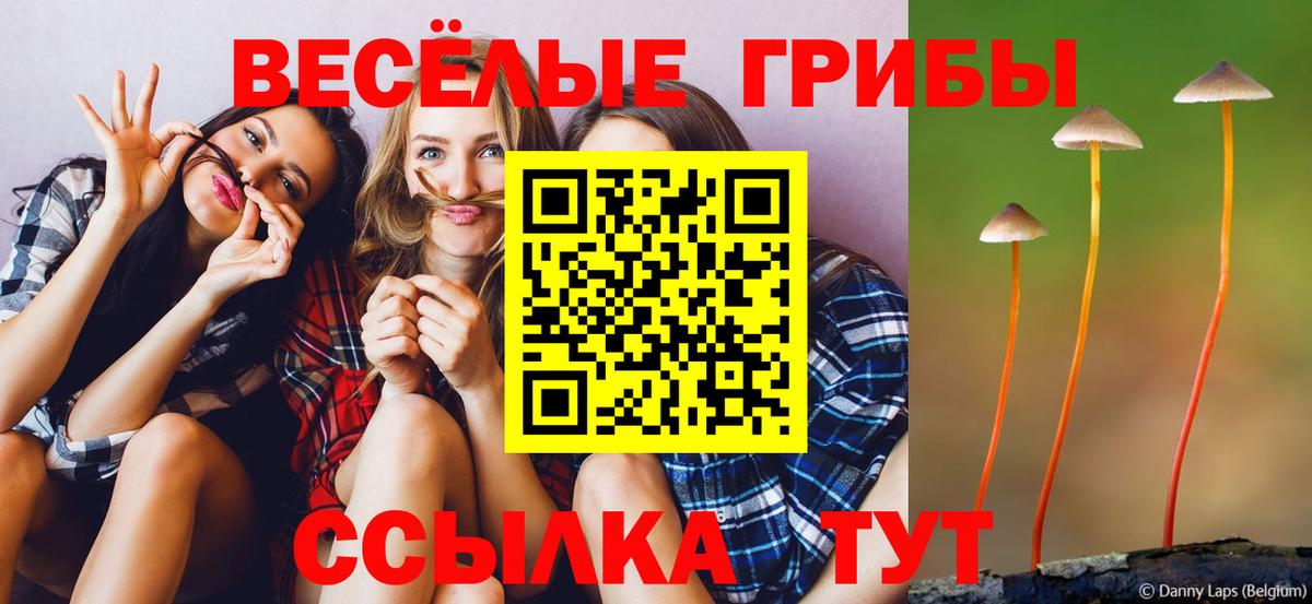 Галлюциногенные грибы мицелий Чехов