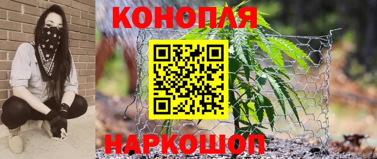 Чехов  Бошки Шишки OG Kush  Канабис Ganja  Вход с VPN  Бошки марихуана гибрид 